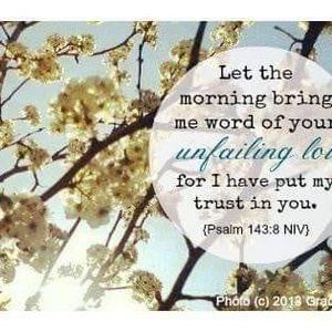 Meet your Posher, Dawna